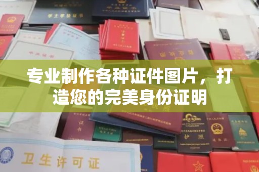 中原专业制作各种证件图片，打造您的完美身份证明